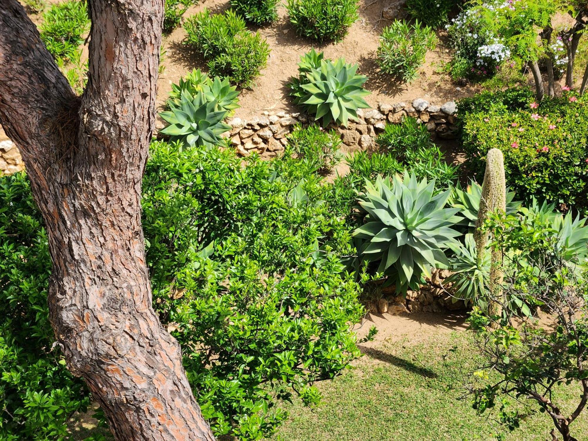 Elena Flat Lovely Paradise Above The Sea Sitio de Calahonda Bagian luar foto